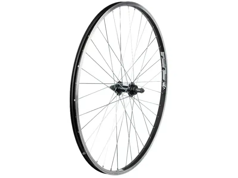 A black Bontrager AT-550/FM31 700c rear wheel with thin spokes against a white background.