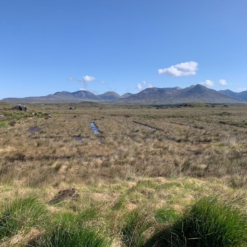 A serene, expansive view of a verdant marshland with a series of small water pools, leading up to a range of rolling mountains under a bright blue sky with scattered clouds.