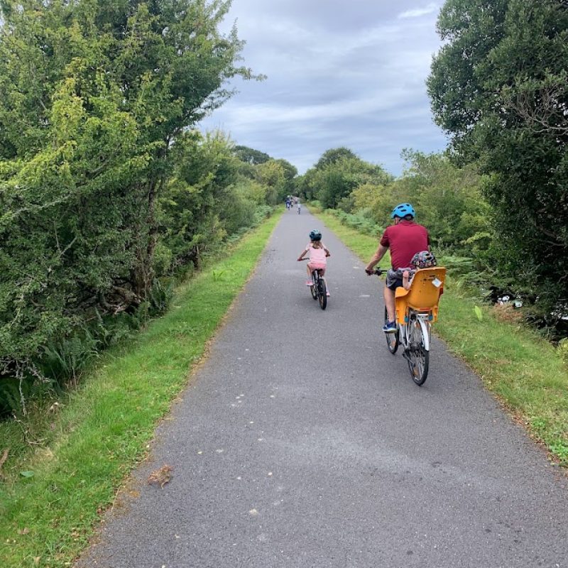 A serene bike ride on a tranquil pathway flanked by lush greenery.
