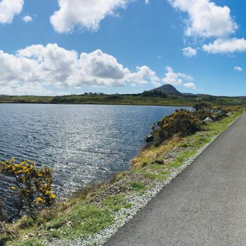 A tranquil panoramic view showcasing a narrow path alongside a sparkling lake, with blossoming yellow shrubs on the rocky shore, and a backdrop of gentle rolling hills under a partly cloudy sky.