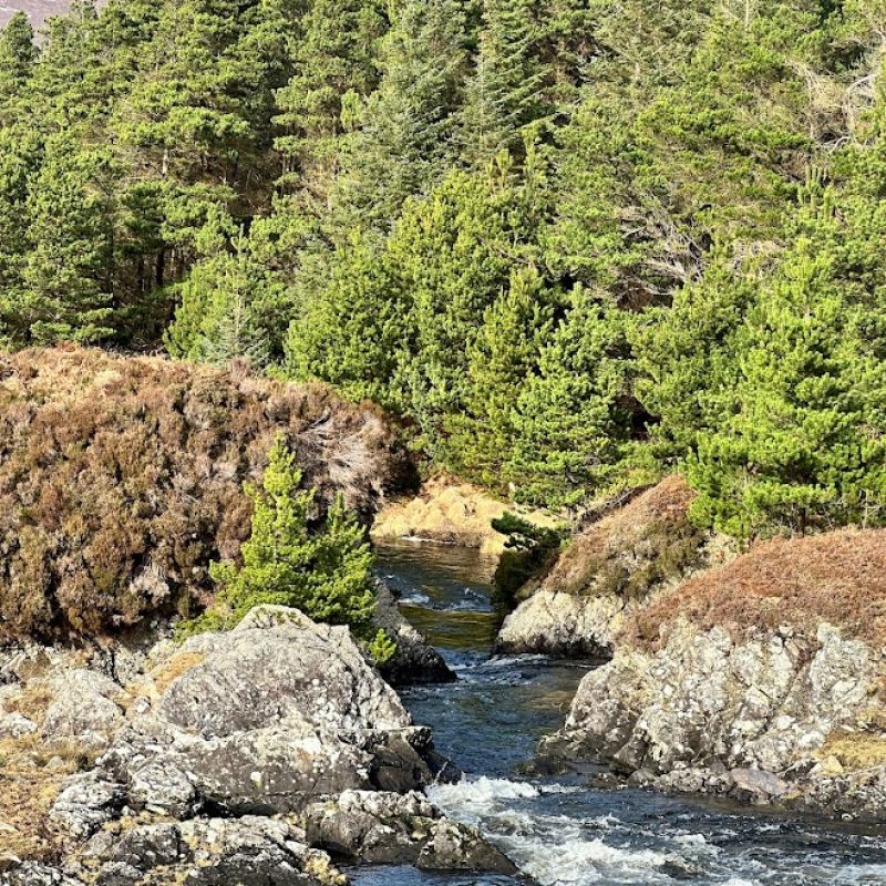 A serene mountain stream flowing through a rugged landscape, flanked by evergreen trees under a clear blue sky.